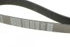 Поликлиновый ремень DAYCO 8PK1295 (фото 4)