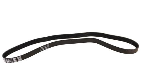 Фото 1 - полікліновий ремінь DAYCO D6PK1173 Полікліновий ремінь DAYCO D6PK1173 (фото 1)