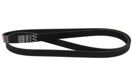 Фото 1 - полікліновий ремінь DAYCO D7PK1905 Полікліновий ремінь DAYCO D7PK1905 (фото 1)