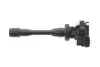 Катушка зажигания 12V Delphi GN10191-12B1 (фото 5)
