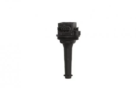 Котушка запалювання 12V Delphi GN10334-12B1