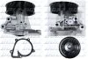 Водяний насос FORD Transkit Mk6/Ranger Mk3/Transit V363 DOLZ F211 (фото 1)