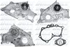 Помпа Dolz LEXUS/TOYOTA ES 300/Corolla "1,8-3,0 "82-02 DOLZ T209 (фото 1)
