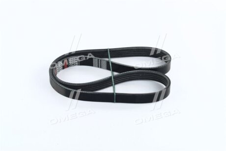 Ремінь поліклин. Dongil 5PK885