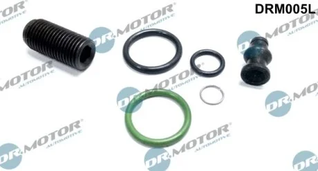 Ремкомплект паливної форсунки. DR.MOTOR DRM005L