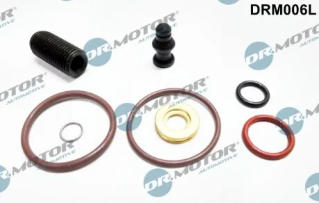 Ремкомплект форсунки топливной. DR.MOTOR DRM006L