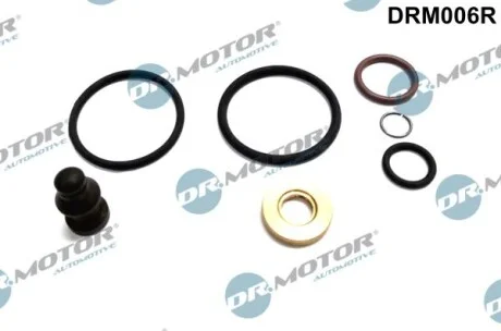Ремкомплект форсунки топливной. DR.MOTOR DRM006R