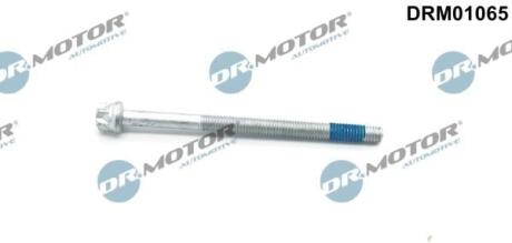 Болт крепления форсунки DR.MOTOR DRM01065