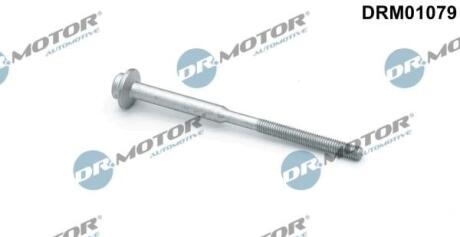 Болт кріплення форсунки DR.MOTOR DRM01079