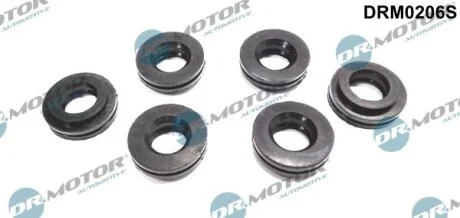 Ремкомплект форсунки топливной. DR.MOTOR DRM0206S