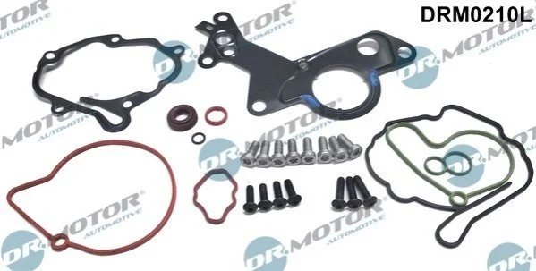 Ремкомплект вакуумного насосу DR.MOTOR DRM0210L (фото 1)