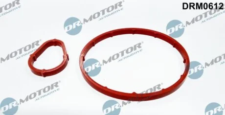 ПРОКЛАДКА РЕЗИНОВАЯ DR.MOTOR DRM0612