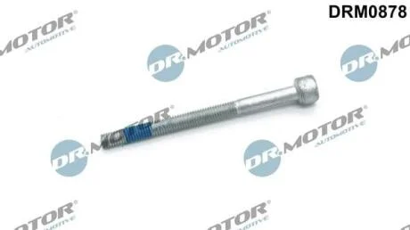 Болт кріплення форсунки DR.MOTOR DRM0878