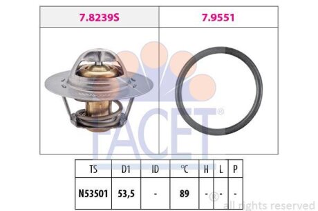 Термостат, охолоджуюча рідина FACET 7.8239