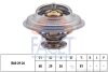 Термостат, охолоджуюча рідина FACET 7.8250S (фото 1)