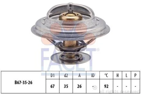 Термостат, охолоджуюча рідина (вир-во Facet) FACET 7.8302S