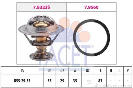 Термостат, охолоджуюча рідина FACET 7.8323