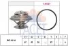 Термостат, охолоджуюча рідина (вир-во Facet) FACET 7.8385