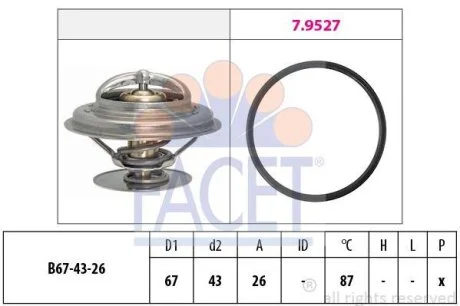 Термостат, охолоджуюча рідина FACET 7.8385