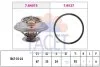 Термостат, охолоджуюча рідина (вир-во Facet) FACET 7.8401