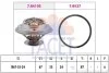 Термостат, охолоджуюча рідина (вир-во Facet) FACET 7.8410