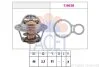 Термостат, охолоджуюча рідина (вир-во Facet) FACET 7.8524 (фото 1)