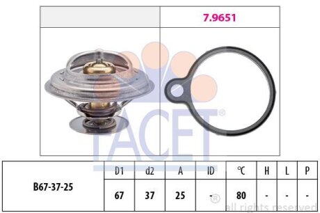 Термостат, охолоджуюча рідина FACET 7.8613