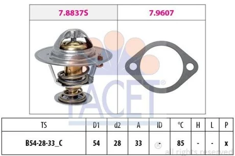 Термостат, охолоджуюча рідина FACET 7.8838