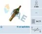 Датчик температури охолоджуючої рідини (вир-во) FAE 32170 (фото 1)
