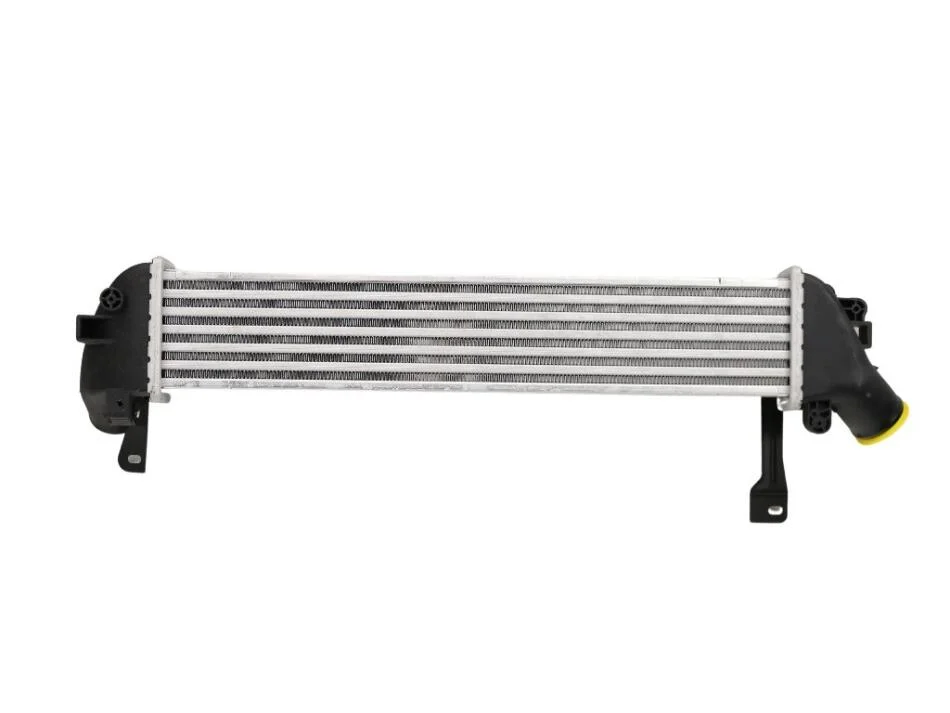 Радиатор интеркулера 1.5DCI 8V RENAULT Kangoo 97-07; NISSAN Kubistar 03-08 FAST FT55591 (фото 1)