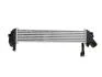 Радиатор интеркулера 1.5DCI 8V RENAULT Kangoo 97-07; NISSAN Kubistar 03-08 FAST FT55591 (фото 1)