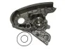 Насос системы охлаждения 2.3JTD 16V,2.3HDI 16V,2.3MJET 16V FIAT Ducato 06-14, Ducato 02-06; IVECO Daily E5 11-14, Daily E4 06-11, Daily E6 14-, Daily E3 99-06 FAST FT57135 (фото 1)