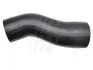 Патрубок інтеркулера 3.0MJET 16V, 2.2MJET 16V, 2.2HDI 16V, 3.0JTD 16V FIAT Ducato 06-14; PEUGEOT Boxer 06-14; CITROEN Jumper 06-14 FAST FT61780 (фото 1)