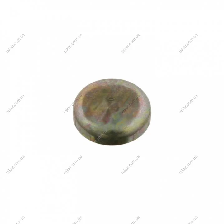Заглушка блоку VAG d 24mm (вир-во FEBI) FEBI BILSTEIN 08390 (фото 1)