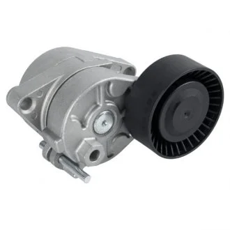 Натяжитель ремня генератора FEBI BILSTEIN 09810