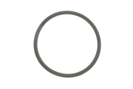 Уплотнительное кольцо FEBI BILSTEIN 100165