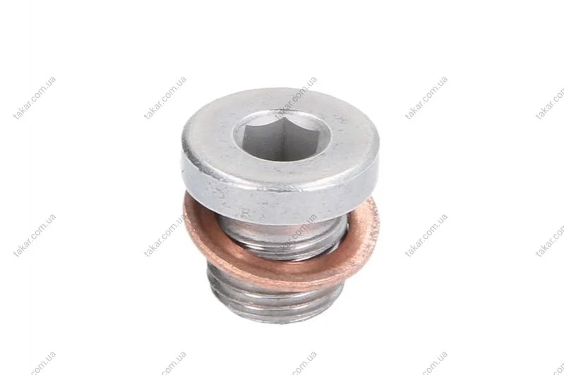 Пробка піддону FEBI BILSTEIN 101020 (фото 1)
