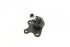 Кулькова опора праворуч передній міст знизу FEBI BILSTEIN 19408 (фото 4)