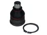 Шаровая опора с обеих сторон передний мост снизу FEBI BILSTEIN 38543 (фото 1)