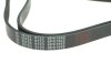 Поликлиновый ремень 6 ребер FEBI BILSTEIN 39793 (фото 2)