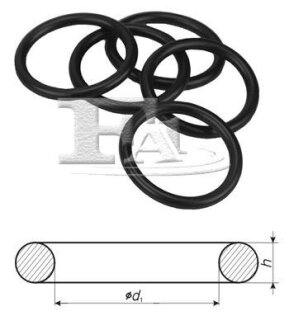 Кільце гумове Fischer Automotive One (FA1) 244.851.010