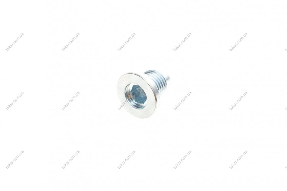 Пробка піддону автомобіля Fischer Automotive One (FA1) 257.877.001 (фото 1)