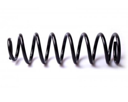 Пружина підвіски задня FITSHI 1605-12AG