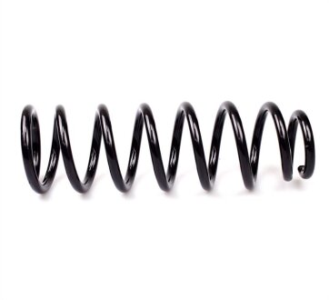 Пружина підвіски задня FITSHI 3034-12AC