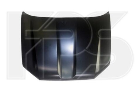 Капот FPS FP7073280