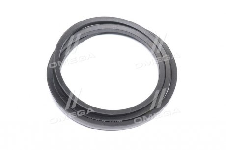 Ремінь клиновий CLAAS(Agri) Gates 0202222