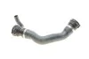 Патрубок радиатора (нижний) BMW X3 (E83) 04-07 M47 Gates 05-3282 (фото 4)