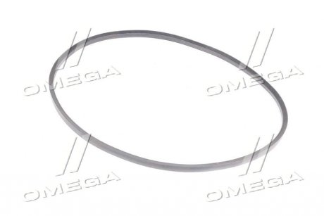 Ремінь клиновий CLAAS(Agri) Gates 1601120