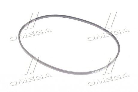 Ремінь клиновий CLAAS(Agri) Gates 2001143