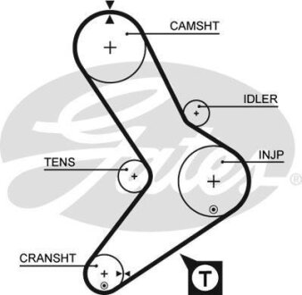 Ремінь зубч. ГРМ Fiat Ducato 2.4d, 2.5d Gates 5039